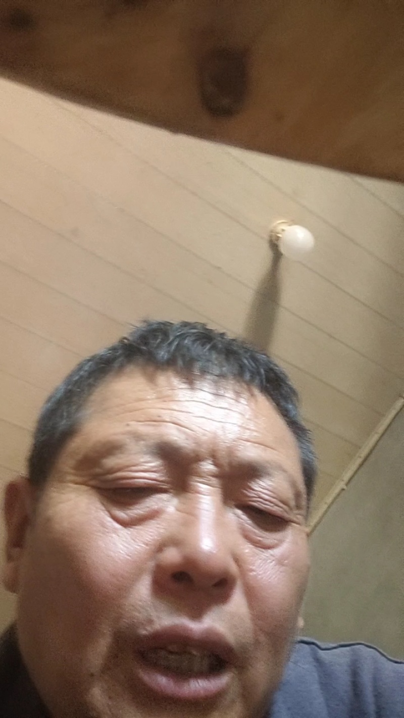 椪柑