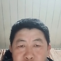 精品长条贝达葡萄苗，山葡萄苗产地直发质量好价格低
