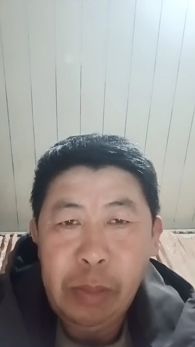 精品长条贝达葡萄苗，山葡萄苗产地直发质量好价格低