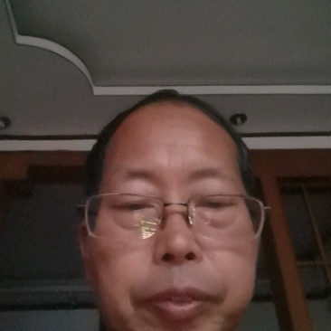 早熟砂糖桔苗，果10月成熟，两年挂果苗现挖保湿