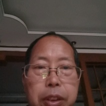 马家柚苗甜味红肉柚苗比普通红柚甜有挂果园采技育苗现挖保湿