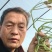 脱毒原种龙薯九，大田龙九，凉风4天，基地供苗