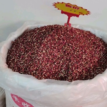 【青麻椒】绿麻椒花椒产地一手货源常年供应全国发货
