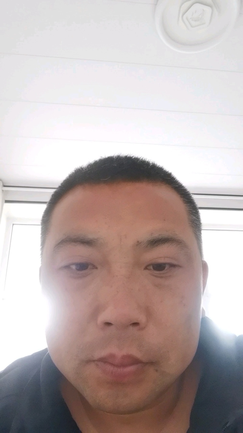 雪花梨大量上市产地直发货源充足诚信经营欢迎电话联系
