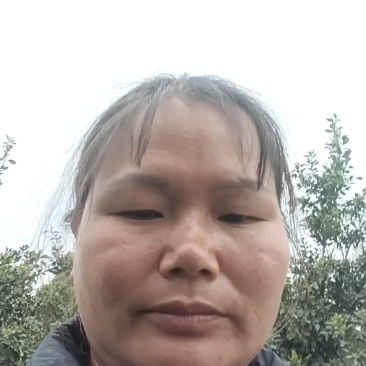 不知火
