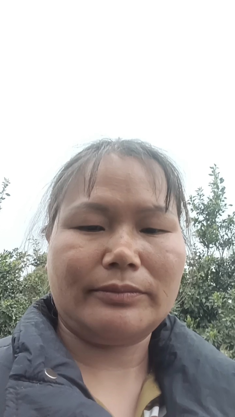 不知火