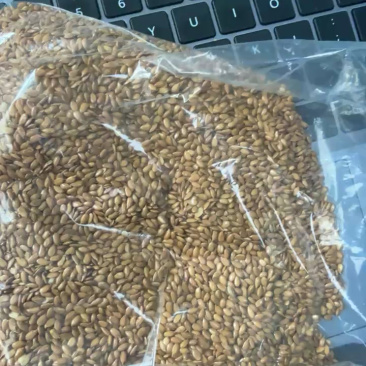 黄金亚麻籽，加拿大亚麻籽，红色亚麻籽，机选，色选港口直销