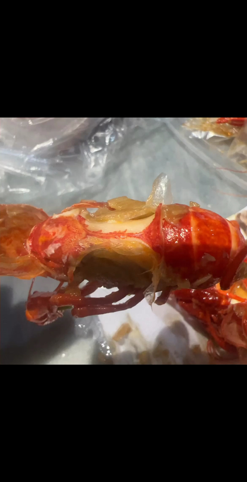 潜江古法小龙虾地摊电商批发清水小龙虾液氮锁鲜小龙虾
