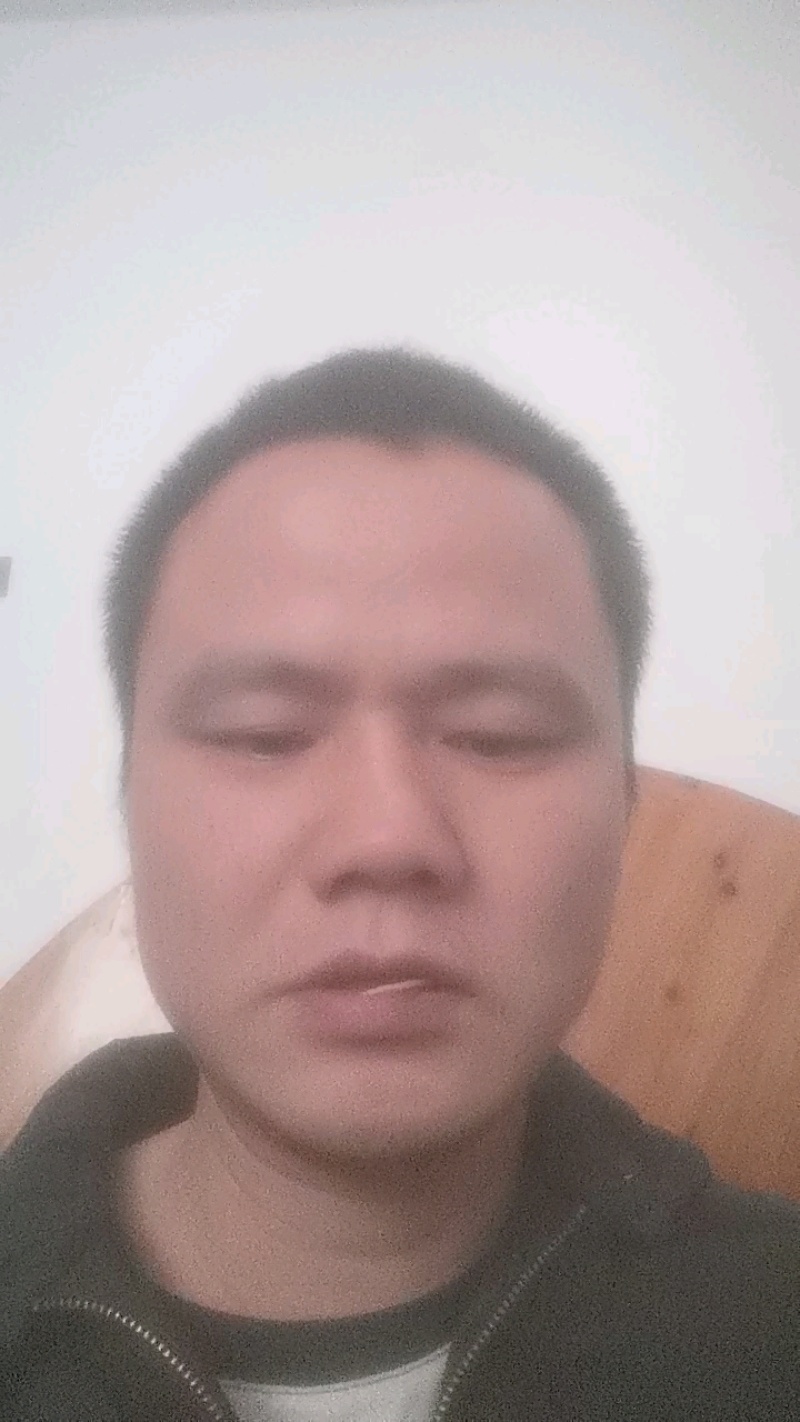 小叶女贞柱