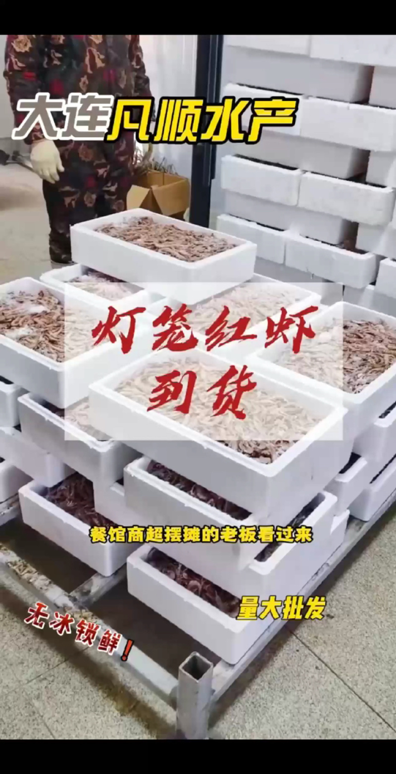 灯笼红虾、一手货源。