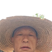 贵州野生的土蜂蜜