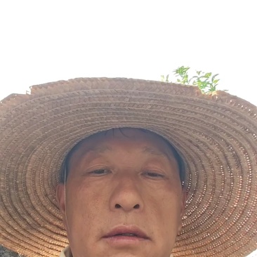 贵州野生的土蜂蜜