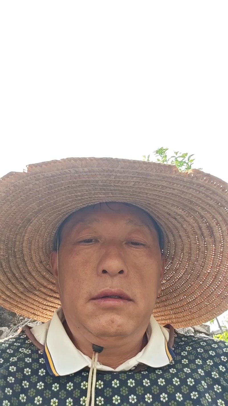 贵州野生的土蜂蜜