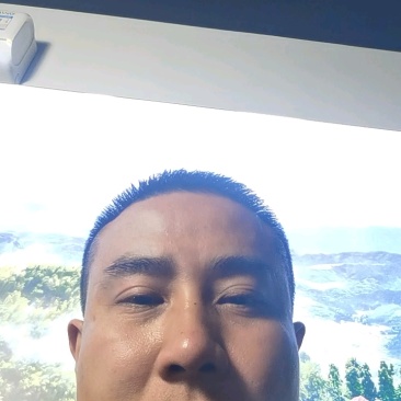 武义高山土蜂蜜，云端土蜂蜜，正宗土蜂蜜，***。两斤包邮