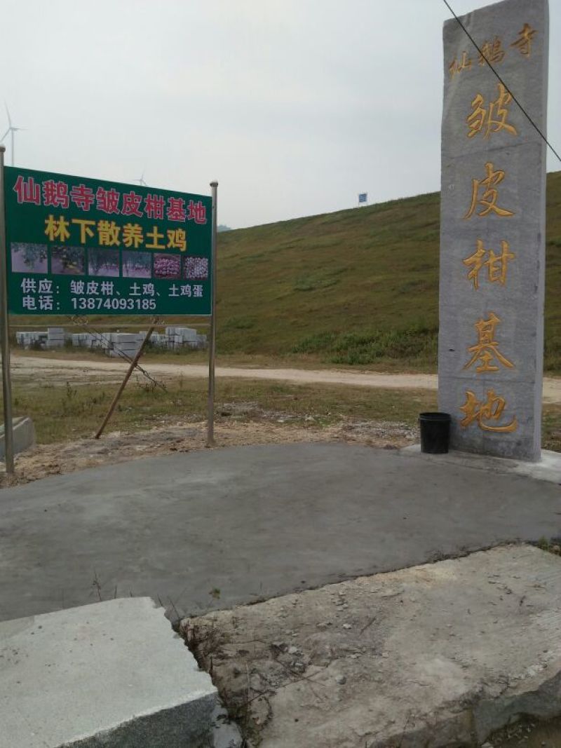虫草蛋食用50g以下