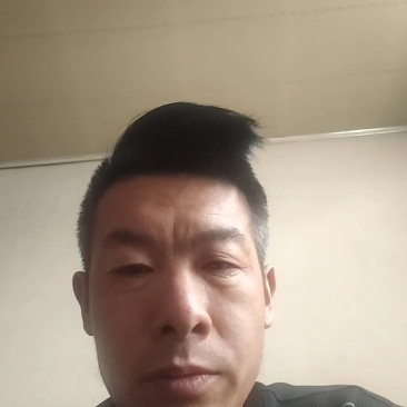 西红柿
