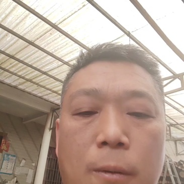 三月笋