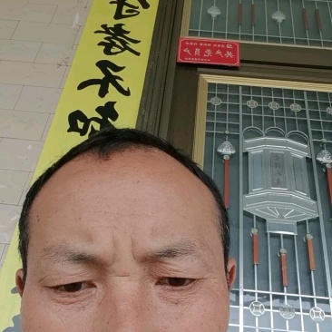 菱角种苗青菱角种苗红菱角水红菱保质保量价格优惠