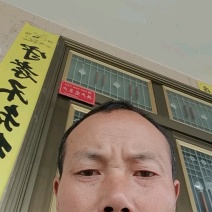 脱皮老菱角，菱角种子，量大从优，欢迎老板进店！