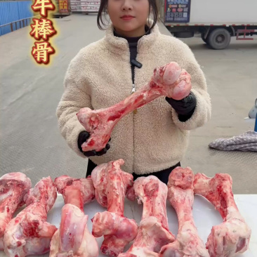 牛棒骨颜色新鲜，鲜冻牛棒骨，熬汤专用牛棒骨，牛骨头批发