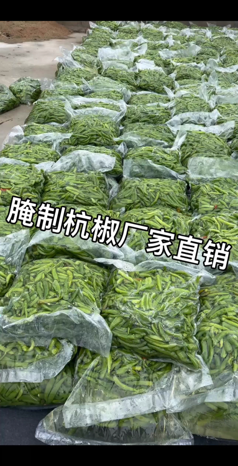 腌制辣椒厂家直销，山东辣椒，规格齐全，对接批发商市场商超