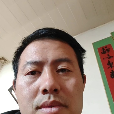 红富士苹果75mm以上纸袋