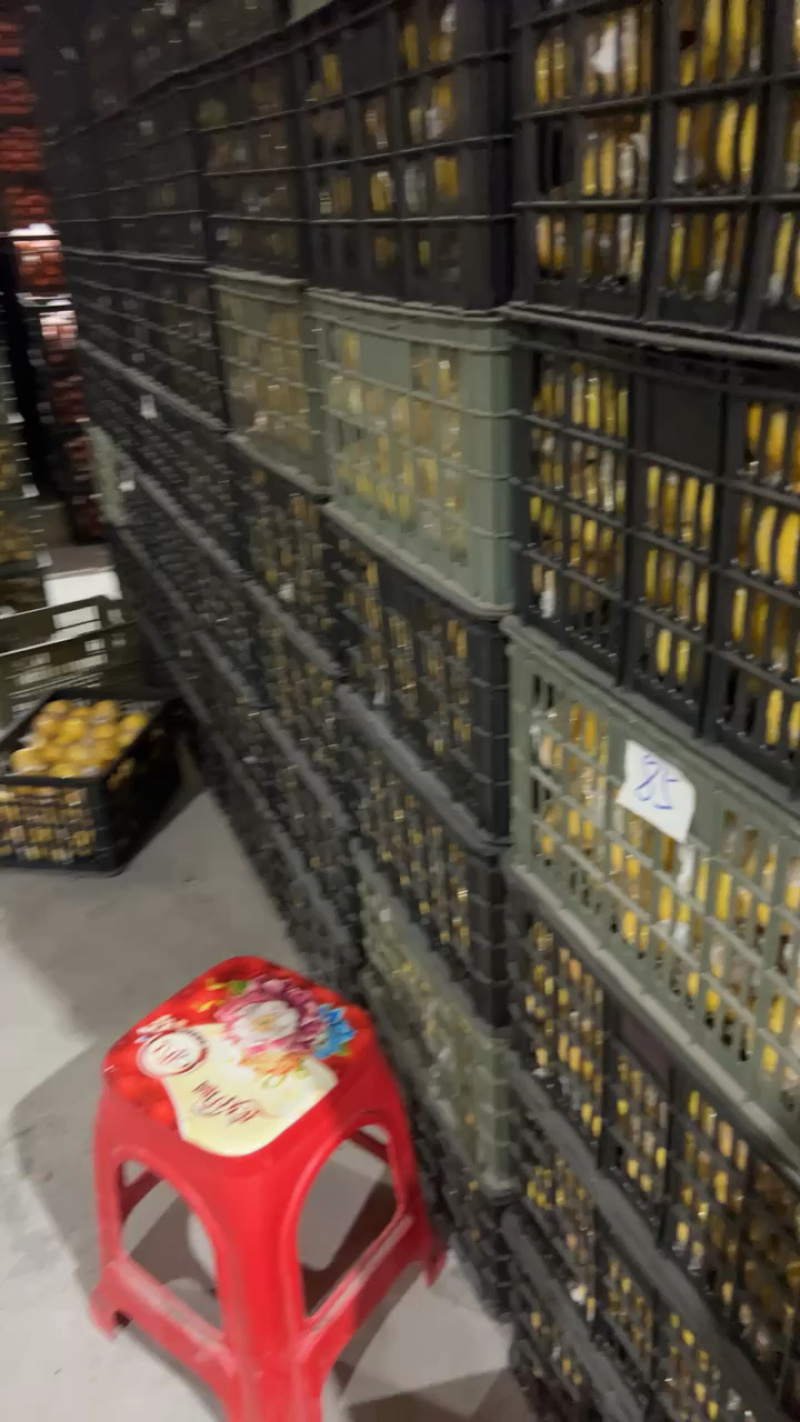 湖南怀化主产区黄金贡柚，春香柚，口感甜，清香浓郁