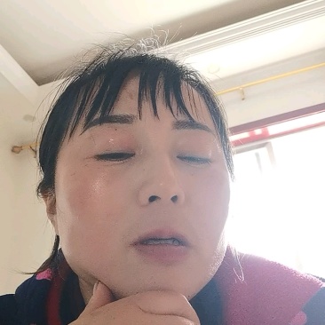 蚕豆/大白胡豆/四川成都简阳市基地直发/对接全国采购商
