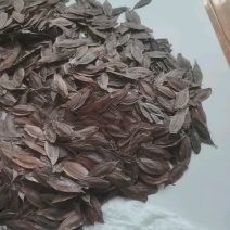 十万亩杜仲种植基地，可供杜仲树叶100吨，产地大量供应