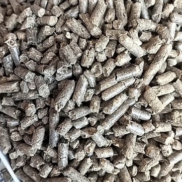 花生秧颗粒，花生之都的福利
