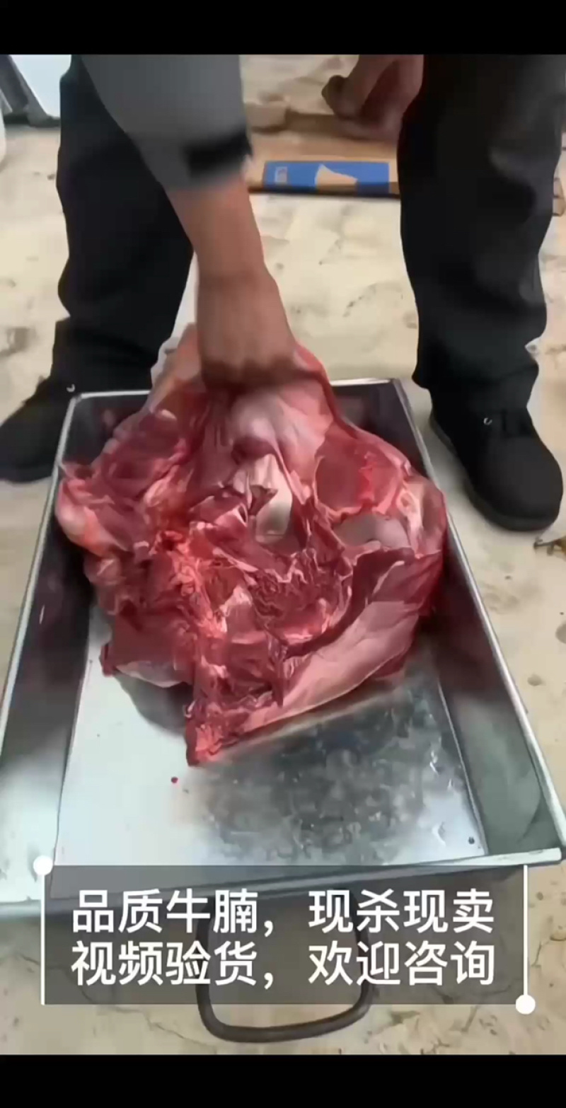 【牛腩-包邮】批发一件10斤50斤牛肉牛腩肉