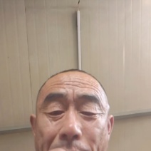 小黄圣女果，辽宁产区，基地种植，量很大，今年的质量可以！