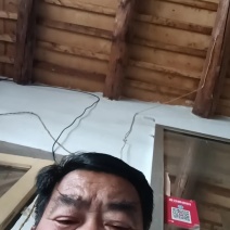 山东甘蓝圆包菜大量上市中基地直发保质保量对接商超团购供