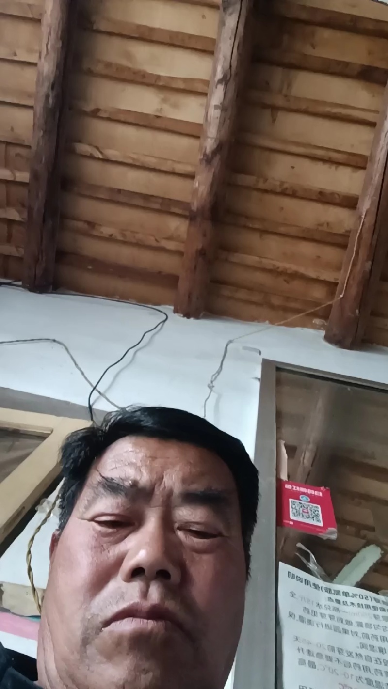 山东甘蓝圆包菜大量上市中基地直发保质保量对接商超团购供