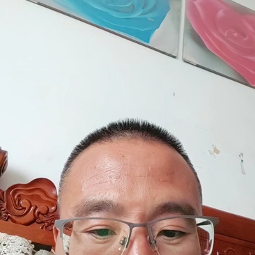 山东滨海黄须菜