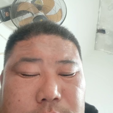 小白嘴麻山药衡水安平县产地直发对接电商市场，不包邮