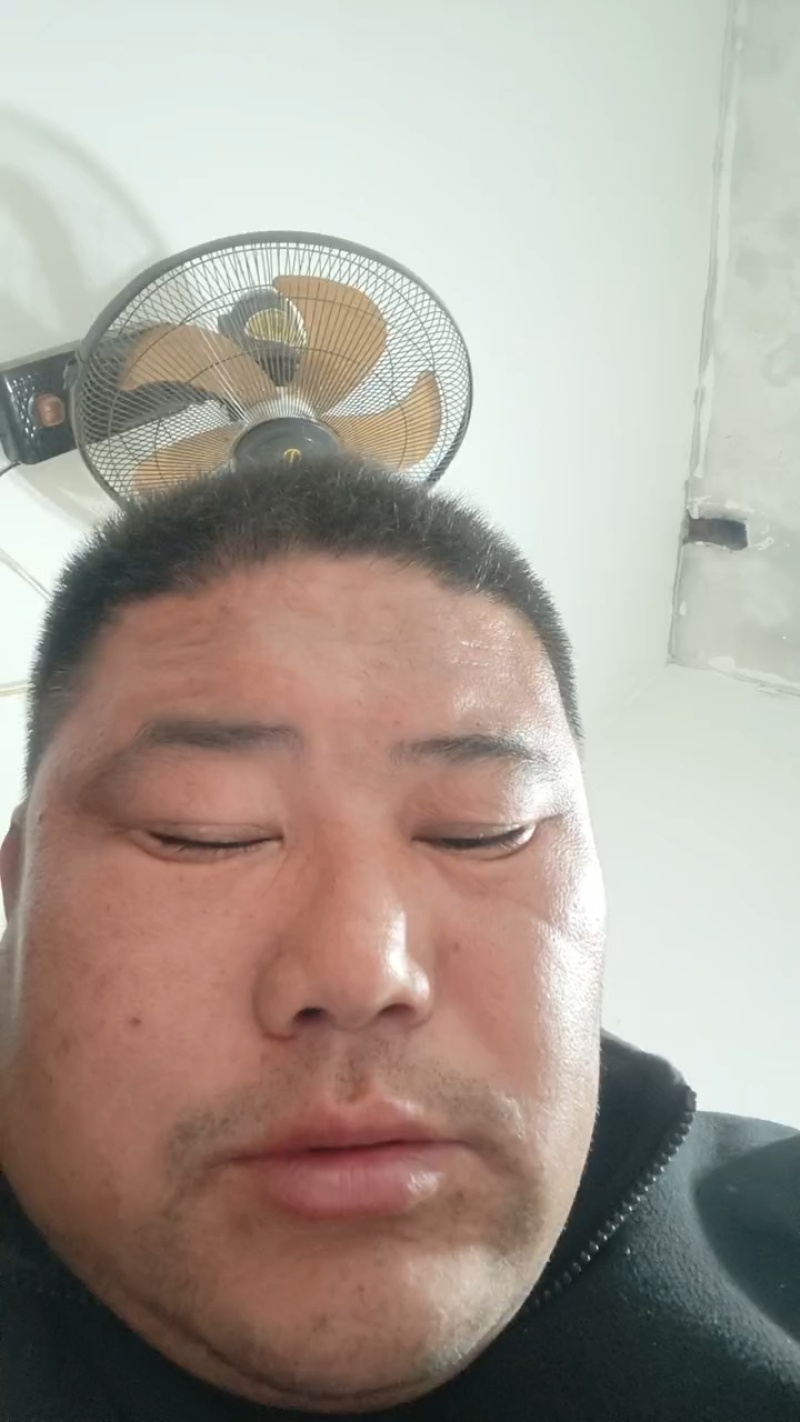 小白嘴麻山药衡水安平县产地直发对接电商市场，不包邮