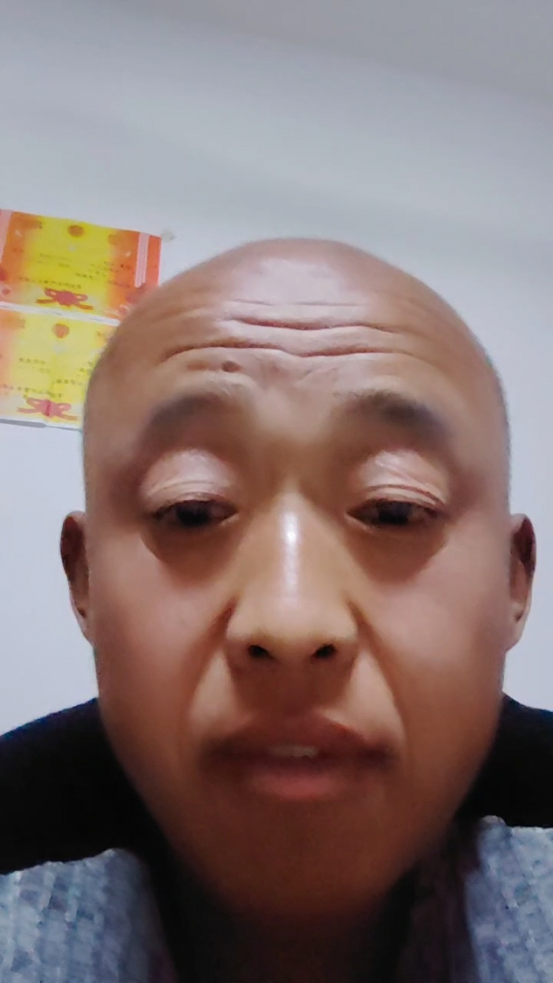 大量供应优质西葫芦产地供应价格优惠欢迎来电咨询洽谈