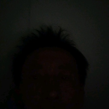 精品有硫黄当归现货批发