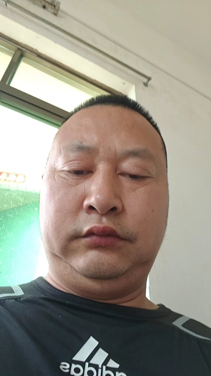 《实力》沙糖桔产地供货一手货源，口感纯甜，冬季****的