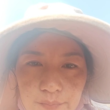 新货上市！甘蔗红糖等你来选