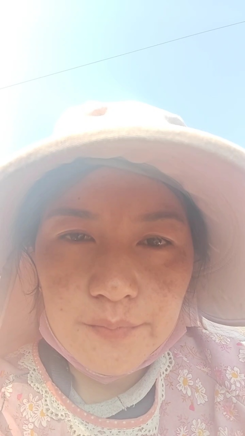 新货上市！甘蔗红糖等你来选