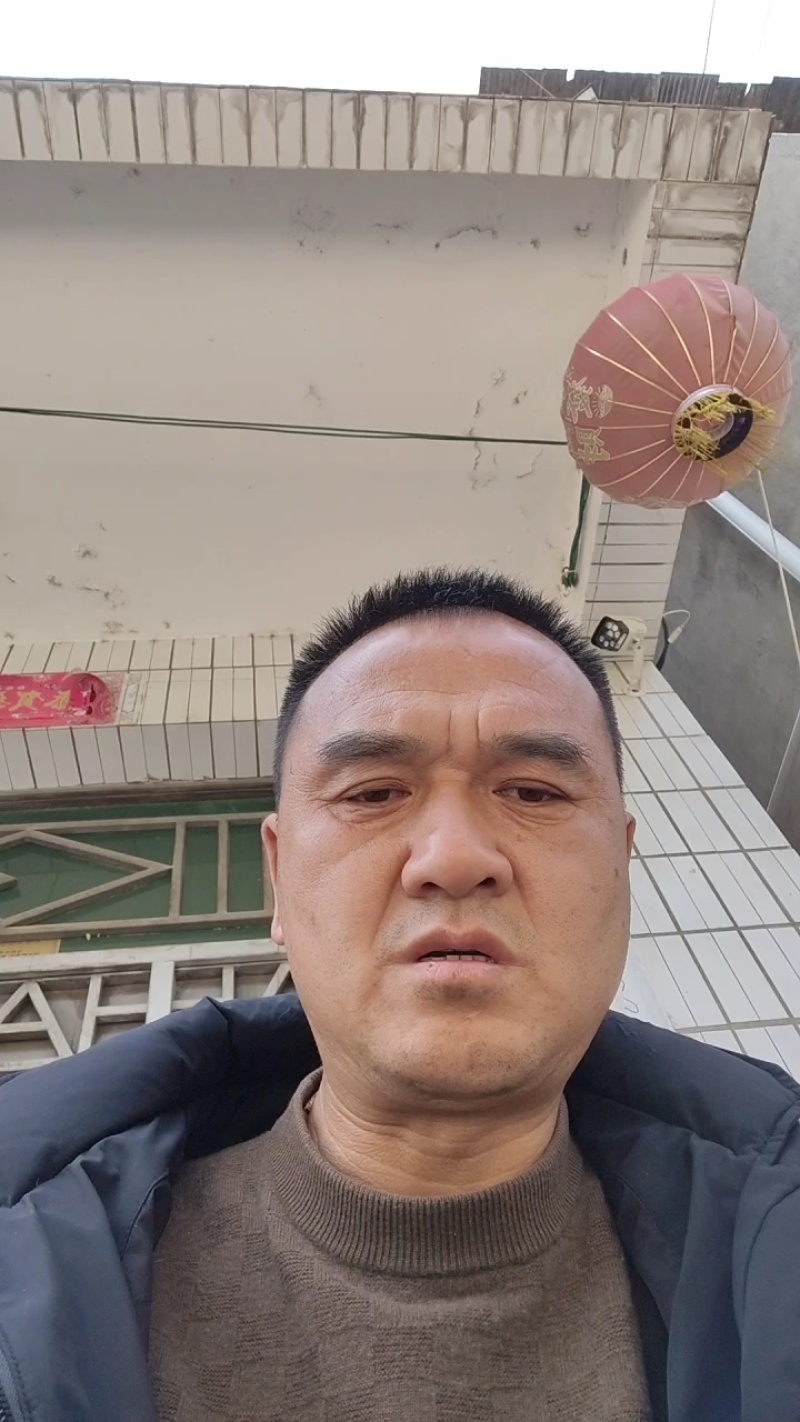 伦晚香甜伦晚产地直销，诚信代办，一手货源，保质保量，以质