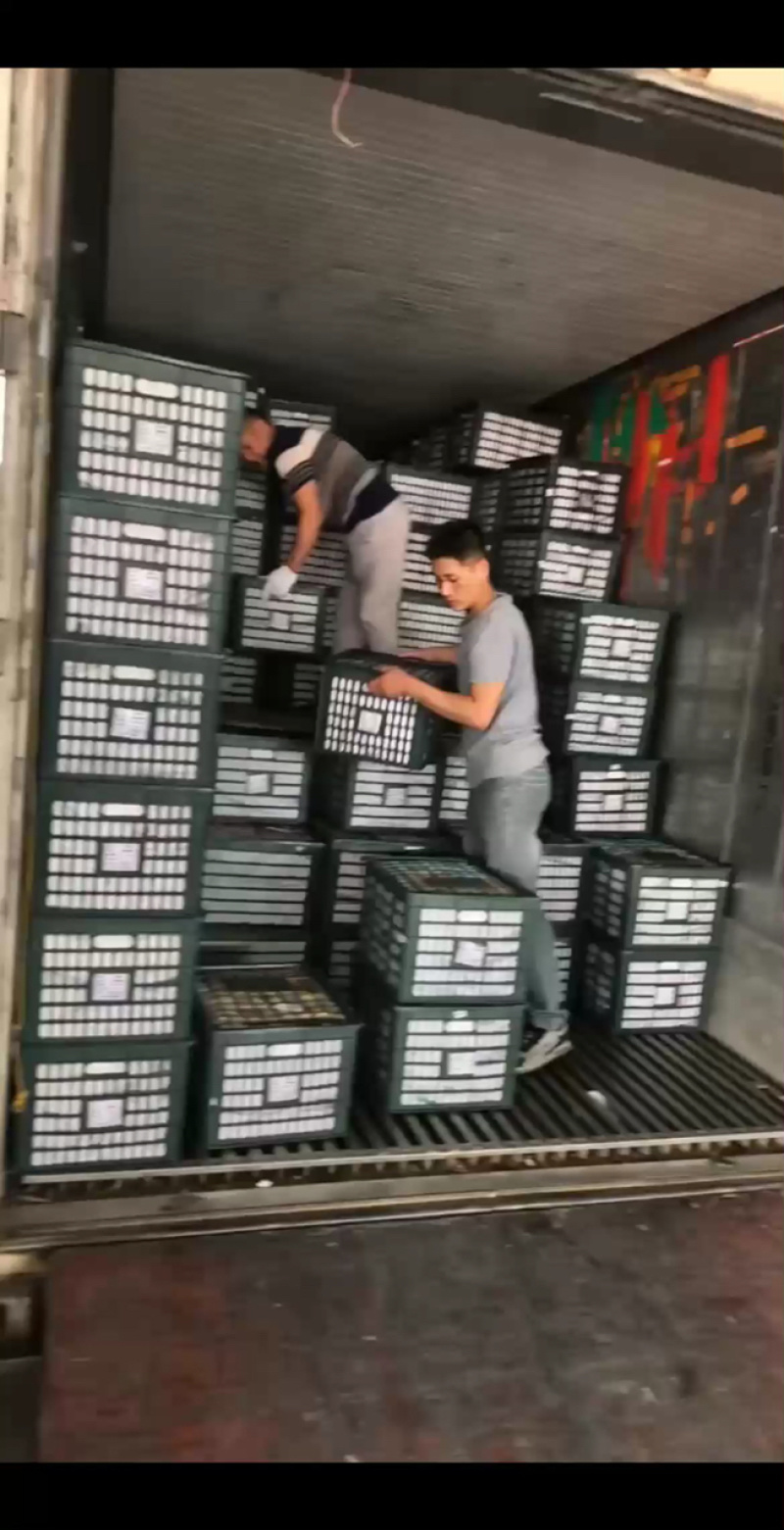 大青白金到货，老板速来验货！