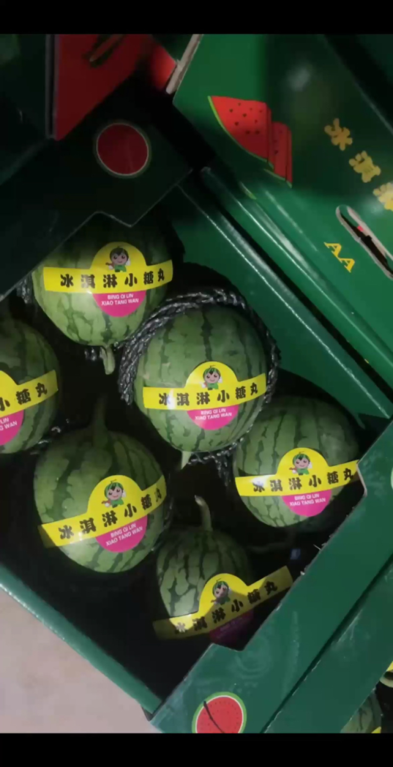 手撕奶油小吊瓜，精品小糖丸西瓜，质量三包，代发全国
