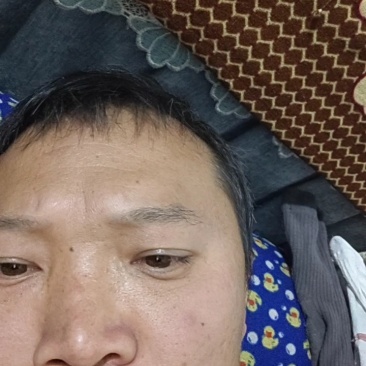 罗汉笋
