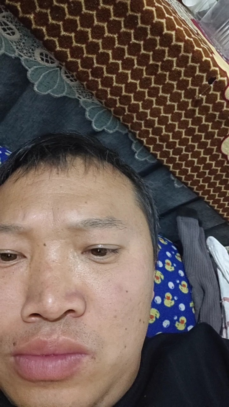 罗汉笋