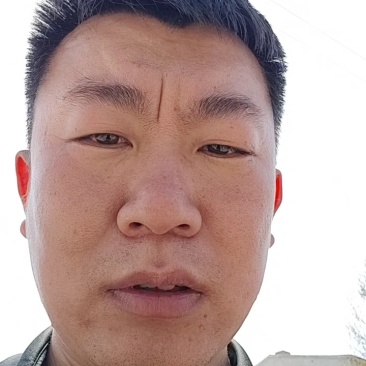 莘县正宗头茬礼品小西瓜大量上市产地现摘现发欢迎来电