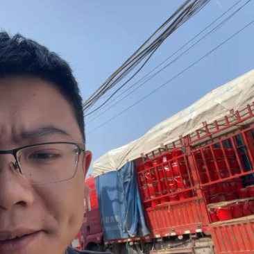旱黄瓜白玉黄瓜