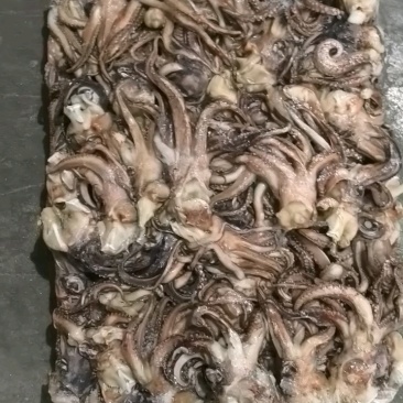 船冻真鱿内洋头100/200*船冻真鱿尾100/200